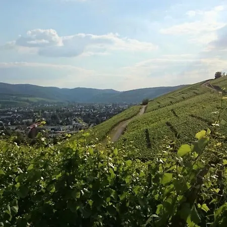 Ahrpartments Comfortable Σπίτι διακοπών Bad Neuenahr-Ahrweiler