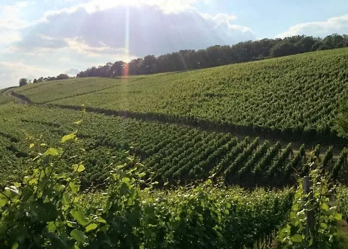 Casa de Férias Ahrpartments Comfortable Bad Neuenahr-Ahrweiler